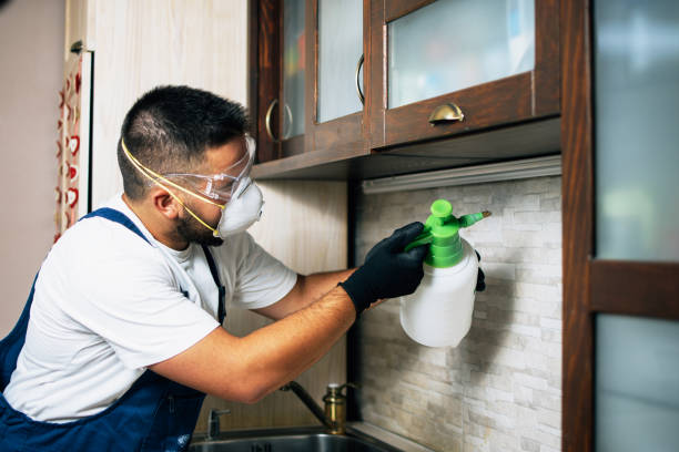 Best Pest Control Near Me  in Collierville, CA