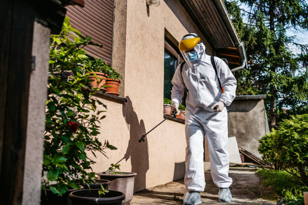 Best Emergency Pest Control  in Collierville, CA