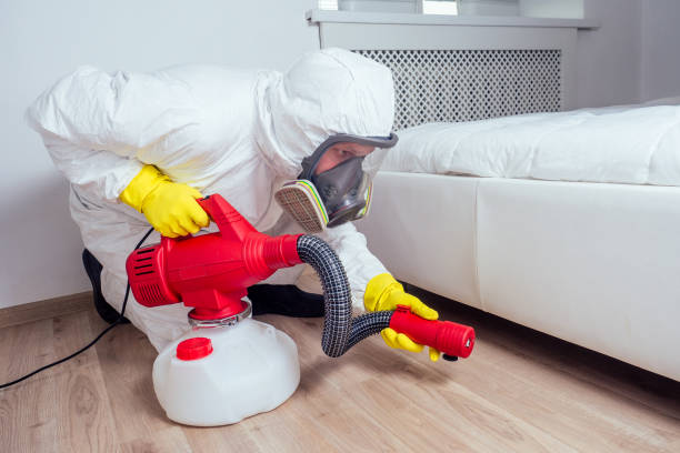 Best Commercial Pest Control Services  in Collierville, CA
