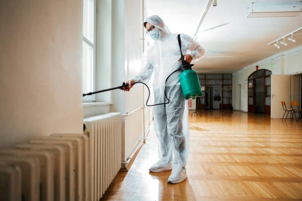 Best Spider Control Near Me  in Collierville, CA